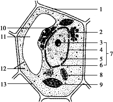 实验室 Fig.03